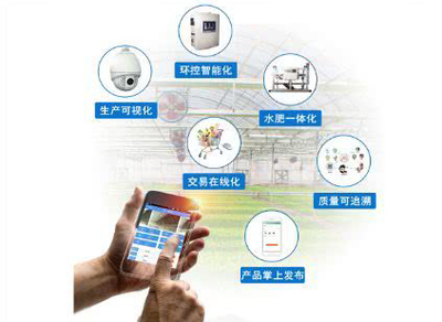 智能科技賦能 休閑農(nóng)業(yè)中“體驗”產(chǎn)品的創(chuàng)新升級